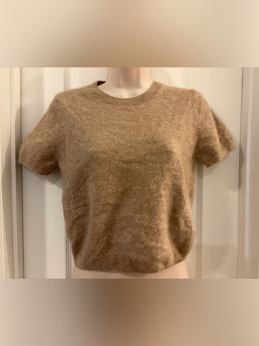 Quince Short-Sleeve Cashmere Sweater in Camel